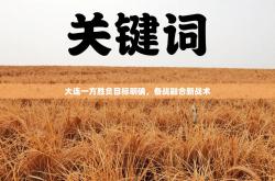 大连一方胜负目标明确，备战融合新战术