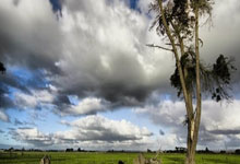 韩国女子曲棍球队斩获金牌，实力强劲