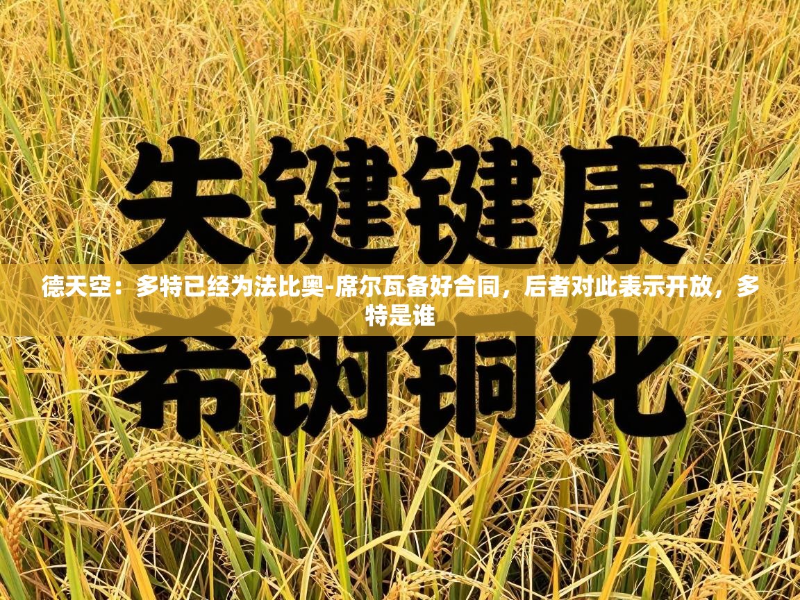 德天空:多特已经为法比奥-席尔瓦备好合同,后者对此表示开放,多特是谁 第1张