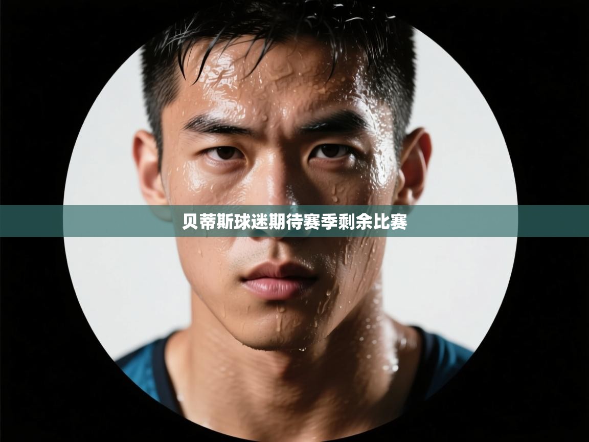 贝蒂斯球迷期待赛季剩余比赛  第1张