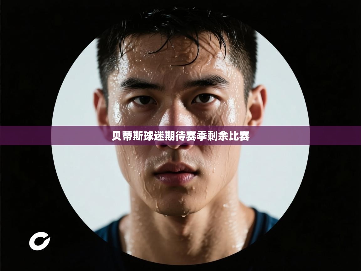 贝蒂斯球迷期待赛季剩余比赛  第2张