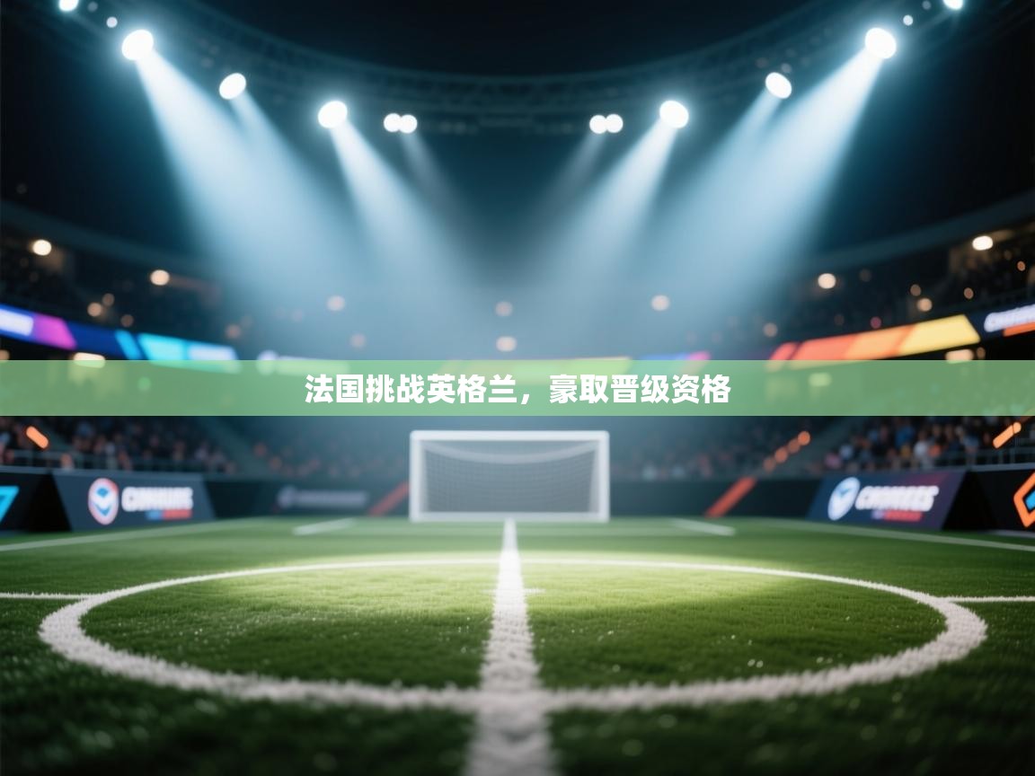 法国挑战英格兰,豪取晋级资格 第1张